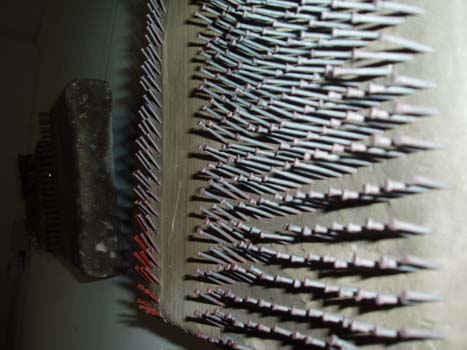 P1010003