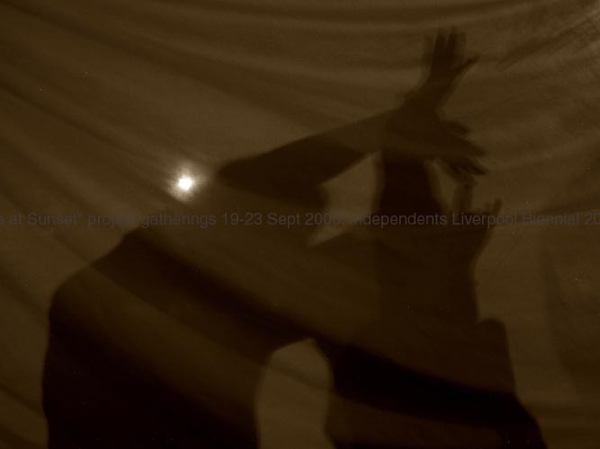 otterspool P1010112 s