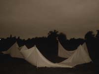 princes park P1010209 s