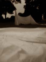 princes park P1010213 s