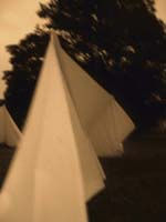 princes park P1010215 s